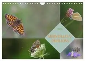 CALVENDO / Aupeix |  Merveilleux papillons (Calendrier mural 2026 DIN A4 vertical), CALVENDO calendrier mensuel | Sonstiges |  Sack Fachmedien