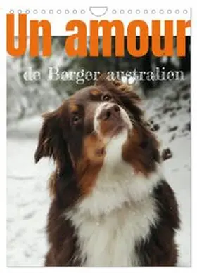 Brandstetter / CALVENDO |  Un amour de berger australien (Calendrier mural 2026 DIN A4 horizontal), CALVENDO calendrier mensuel | Sonstiges |  Sack Fachmedien