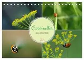 Aupeix / CALVENDO |  Coccinelles rouges à points noirs (Calendrier de bureau 2026 DIN A5 vertical), CALVENDO calendrier mensuel | Sonstiges |  Sack Fachmedien