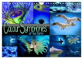 Utz / CALVENDO |  Colour Symphonies of the Earth (Wall Calendar 2026 DIN A4 landscape), CALVENDO 12 Month Wall Calendar | Sonstiges |  Sack Fachmedien