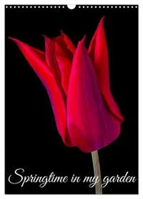 Maiani / CALVENDO |  Springtime in my garden (Wall Calendar 2026 DIN A3 portrait), CALVENDO 12 Month Wall Calendar | Sonstiges |  Sack Fachmedien