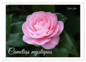 Kruse / CALVENDO |  Camélias mystiques (Calendrier mural 2026 DIN A3 vertical), CALVENDO calendrier mensuel | Sonstiges |  Sack Fachmedien