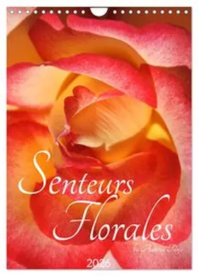 CALVENDO / Turgis |  Senteurs florales (Calendrier mural 2026 DIN A4 horizontal), CALVENDO calendrier mensuel | Sonstiges |  Sack Fachmedien