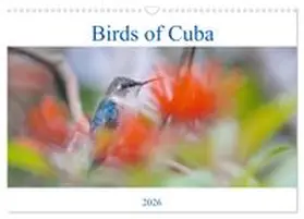 CALVENDO / Wielicki |  Birds of Cuba Island (Wall Calendar 2026 DIN A3 landscape), CALVENDO 12 Month Wall Calendar | Sonstiges |  Sack Fachmedien