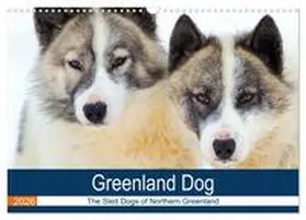 Zwick |  Greenland Dog - The Sled Dogs of Northern Greenland (Wall Calendar 2026 DIN A3 landscape), CALVENDO 12 Month Wall Calendar | Sonstiges |  Sack Fachmedien