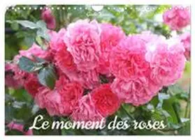 Kruse / CALVENDO |  Le moment des roses (Calendrier mural 2026 DIN A4 vertical), CALVENDO calendrier mensuel | Sonstiges |  Sack Fachmedien