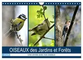 MEURANT / CALVENDO |  OISEAUX des Jardins et Forêts (Calendrier mural 2026 DIN A4 vertical), CALVENDO calendrier mensuel | Sonstiges |  Sack Fachmedien