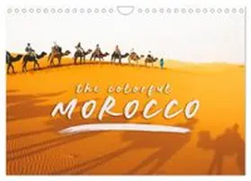 CALVENDO / Monkey |  The colorful Morocco (Wall Calendar 2026 DIN A4 landscape), CALVENDO 12 Month Wall Calendar | Sonstiges |  Sack Fachmedien