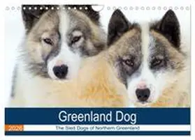 Zwick |  Greenland Dog - The Sled Dogs of Northern Greenland (Wall Calendar 2026 DIN A4 landscape), CALVENDO 12 Month Wall Calendar | Sonstiges |  Sack Fachmedien