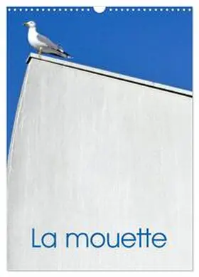 Thébault / CALVENDO |  La mouette (Calendrier mural 2026 DIN A3 horizontal), CALVENDO calendrier mensuel | Sonstiges |  Sack Fachmedien