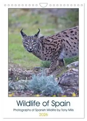 mills / CALVENDO |  Wildlife of Spain (Wall Calendar 2026 DIN A4 portrait), CALVENDO 12 Month Wall Calendar | Sonstiges |  Sack Fachmedien