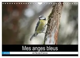 DENIS / CALVENDO |  Mes anges bleus en Île-de-France (Calendrier mural 2026 DIN A4 vertical), CALVENDO calendrier mensuel | Sonstiges |  Sack Fachmedien