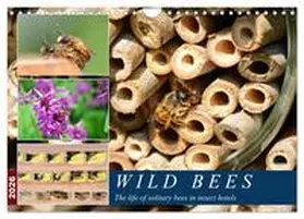 Frost / CALVENDO |  Wild bees - The life of solitary bees in insect hotels (Wall Calendar 2026 DIN A4 landscape), CALVENDO 12 Month Wall Calendar | Sonstiges |  Sack Fachmedien