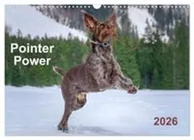 CALVENDO / Wuffclick-pic | Pointer Power (Wall Calendar 2026 DIN A3 landscape), CALVENDO 12 Month Wall Calendar | Sonstiges | 978-3-516-55822-7 | www.sack.de