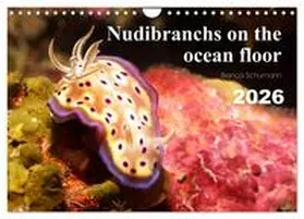 Schumann / CALVENDO |  Nudibranchs on the ocean floor (Wall Calendar 2026 DIN A4 landscape), CALVENDO 12 Month Wall Calendar | Sonstiges |  Sack Fachmedien