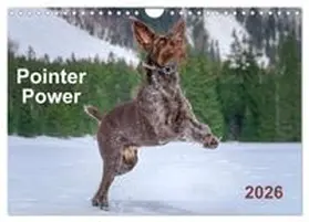 CALVENDO / Wuffclick-pic |  Pointer Power (Wall Calendar 2026 DIN A4 landscape), CALVENDO 12 Month Wall Calendar | Sonstiges |  Sack Fachmedien