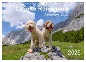CALVENDO / Wuffclick-pic |  Lagotto Romagnolo Mountain Life (Wall Calendar 2026 DIN A4 landscape), CALVENDO 12 Month Wall Calendar | Sonstiges |  Sack Fachmedien
