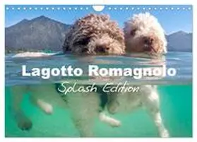 CALVENDO / Saf Photography |  Lagotto Romagnolo Splash Edition (Wall Calendar 2026 DIN A4 landscape), CALVENDO 12 Month Wall Calendar | Sonstiges |  Sack Fachmedien
