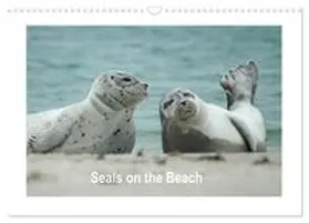 CALVENDO / Fornal |  Seals on the Beach (Wall Calendar 2026 DIN A3 landscape), CALVENDO 12 Month Wall Calendar | Sonstiges |  Sack Fachmedien