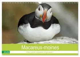 CALVENDO / Paul - Babett's Bildergalerie |  Macareux-moines Des petits oiseaux originaux! (Calendrier mural 2026 DIN A3 vertical), CALVENDO calendrier mensuel | Sonstiges |  Sack Fachmedien