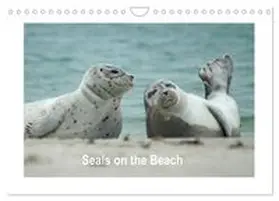 CALVENDO / Fornal |  Seals on the Beach (Wall Calendar 2026 DIN A4 landscape), CALVENDO 12 Month Wall Calendar | Sonstiges |  Sack Fachmedien
