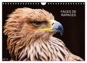 LIATARD / CALVENDO |  FACES DE RAPACES (Calendrier mural 2026 DIN A4 vertical), CALVENDO calendrier mensuel | Sonstiges |  Sack Fachmedien