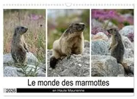 DENIS / CALVENDO |  Le monde des marmottes en Haute Maurienne (Calendrier mural 2026 DIN A3 vertical), CALVENDO calendrier mensuel | Sonstiges |  Sack Fachmedien