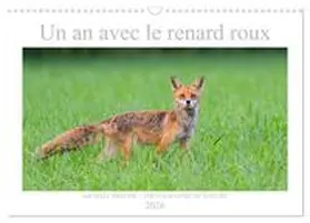 CALVENDO / Breuer |  Un an avec le renard roux (Calendrier mural 2026 DIN A3 vertical), CALVENDO calendrier mensuel | Sonstiges |  Sack Fachmedien