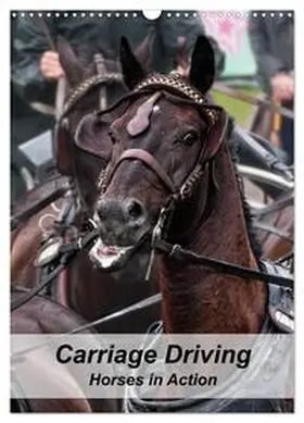 CALVENDO / Sixt |  Carriage Driving - Horses in Action (Wall Calendar 2026 DIN A3 portrait), CALVENDO 12 Month Wall Calendar | Sonstiges |  Sack Fachmedien