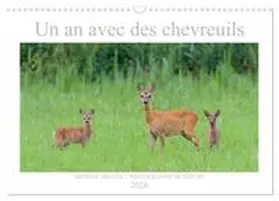 CALVENDO / Breuer |  Un an avec des chevreuils (Calendrier mural 2026 DIN A3 vertical), CALVENDO calendrier mensuel | Sonstiges |  Sack Fachmedien