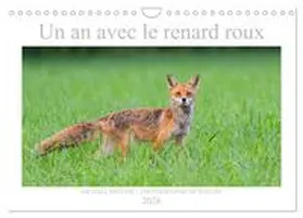 Breuer / CALVENDO |  Un an avec le renard roux (Calendrier mural 2026 DIN A4 vertical), CALVENDO calendrier mensuel | Sonstiges |  Sack Fachmedien
