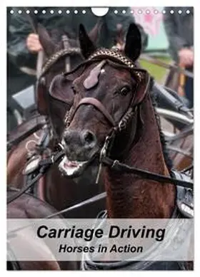 CALVENDO / Sixt |  Carriage Driving - Horses in Action (Wall Calendar 2026 DIN A4 portrait), CALVENDO 12 Month Wall Calendar | Sonstiges |  Sack Fachmedien