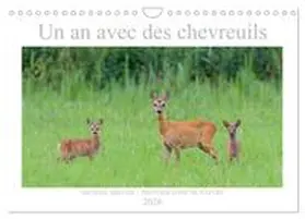 CALVENDO / Breuer |  Un an avec des chevreuils (Calendrier mural 2026 DIN A4 vertical), CALVENDO calendrier mensuel | Sonstiges |  Sack Fachmedien