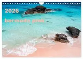 CALVENDO / Sennewald |  bermuda pink (Wall Calendar 2026 DIN A4 landscape), CALVENDO 12 Month Wall Calendar | Sonstiges |  Sack Fachmedien