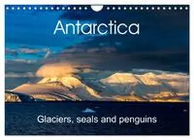 Gerber / CALVENDO |  Antarctica Glaciers, seals and penguins (Wall Calendar 2026 DIN A4 landscape), CALVENDO 12 Month Wall Calendar | Sonstiges |  Sack Fachmedien