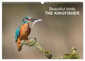 CALVENDO / Tunnicliffe |  Beautiful birds THE KINGFISHER (Wall Calendar 2026 DIN A3 landscape), CALVENDO 12 Month Wall Calendar | Sonstiges |  Sack Fachmedien