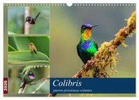 Wöhlke / CALVENDO |  Colibris - pierres précieuses volantes (Calendrier mural 2026 DIN A3 vertical), CALVENDO calendrier mensuel | Sonstiges |  Sack Fachmedien