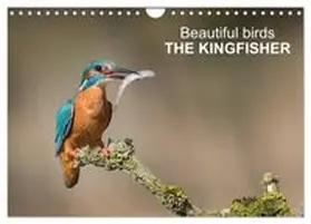 CALVENDO / Tunnicliffe |  Beautiful birds THE KINGFISHER (Wall Calendar 2026 DIN A4 landscape), CALVENDO 12 Month Wall Calendar | Sonstiges |  Sack Fachmedien
