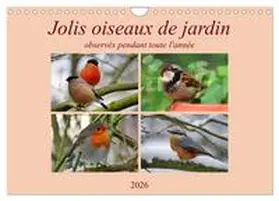 Löwer / CALVENDO |  Jolis oiseaux de jardin (Calendrier mural 2026 DIN A4 vertical), CALVENDO calendrier mensuel | Sonstiges |  Sack Fachmedien