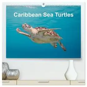 & Tilo Kühnast - naturepics / CALVENDO |  Caribbean Sea Turtles (High Quality Premium Wall Calendar 2026 DIN A2 landscape),CALVENDO 12 Month Wall Calendar | Sonstiges |  Sack Fachmedien