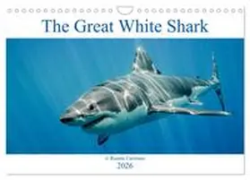 Carretero / CALVENDO |  The Great White Shark: King of the Ocean (Wall Calendar 2026 DIN A4 landscape), CALVENDO 12 Month Wall Calendar | Sonstiges |  Sack Fachmedien