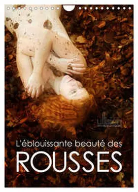 CALVENDO / Allgaier (www.ullision.com) |  L'éblouissante beauté des rousses (Calendrier mural 2026 DIN A4 horizontal), CALVENDO calendrier mensuel | Sonstiges |  Sack Fachmedien