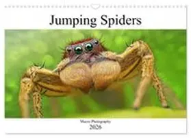 CALVENDO / Mett Photography |  Jumping Spiders (Wall Calendar 2026 DIN A3 landscape), CALVENDO 12 Month Wall Calendar | Sonstiges |  Sack Fachmedien