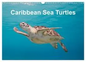 CALVENDO / & Tilo Kühnast - naturepics |  Caribbean Sea Turtles (Wall Calendar 2026 DIN A3 landscape), CALVENDO 12 Month Wall Calendar | Sonstiges |  Sack Fachmedien