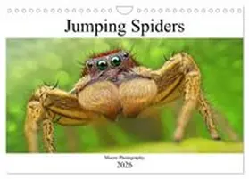CALVENDO / Mett Photography |  Jumping Spiders (Wall Calendar 2026 DIN A4 landscape), CALVENDO 12 Month Wall Calendar | Sonstiges |  Sack Fachmedien
