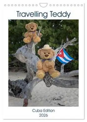 Kneidinger C-K-Images / CALVENDO |  Travelling Teddy Cuba Edition 2026 (Wall Calendar 2026 DIN A4 portrait), CALVENDO 12 Month Wall Calendar | Sonstiges |  Sack Fachmedien
