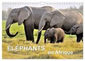 CALVENDO / Feuerer |  Éléphants en Afrique (Calendrier mural 2026 DIN A4 vertical), CALVENDO calendrier mensuel | Sonstiges |  Sack Fachmedien