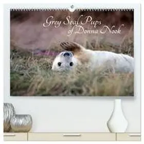 Thompson-Moon / CALVENDO |  Grey Seal Pups of Donna Nook (High Quality Premium Wall Calendar 2026 DIN A2 landscape),CALVENDO 12 Month Wall Calendar | Sonstiges |  Sack Fachmedien