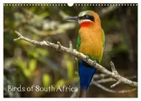 CALVENDO / le Roux & Toon Sanders |  Birds of South Africa (Wall Calendar 2026 DIN A3 landscape), CALVENDO 12 Month Wall Calendar | Sonstiges |  Sack Fachmedien
