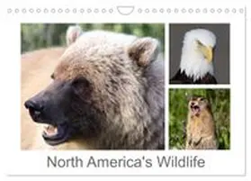 CALVENDO / Braue |  North America's Wildlife (Wall Calendar 2026 DIN A4 landscape), CALVENDO 12 Month Wall Calendar | Sonstiges |  Sack Fachmedien